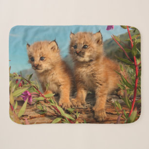 Canadian Lynx Kittens, Alaska Sherpa Blanket