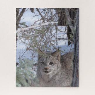 Canadian Lynx Puzzle