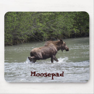 Canadian Moose  Funny Wildlife Mousepad