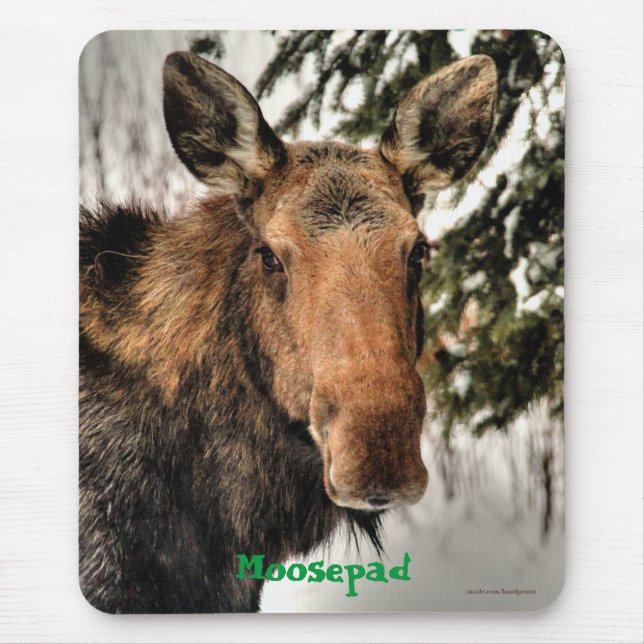 Canadian Moose Portrait Funny Wildlife Mousemat Mouse Pad (Front)