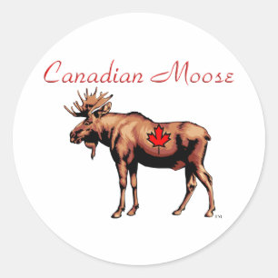 Canadian Moose Stickers