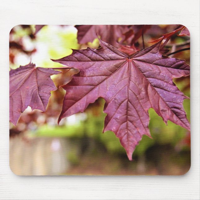 Canadian Red Maple Leaves Mouse Pad (Front)