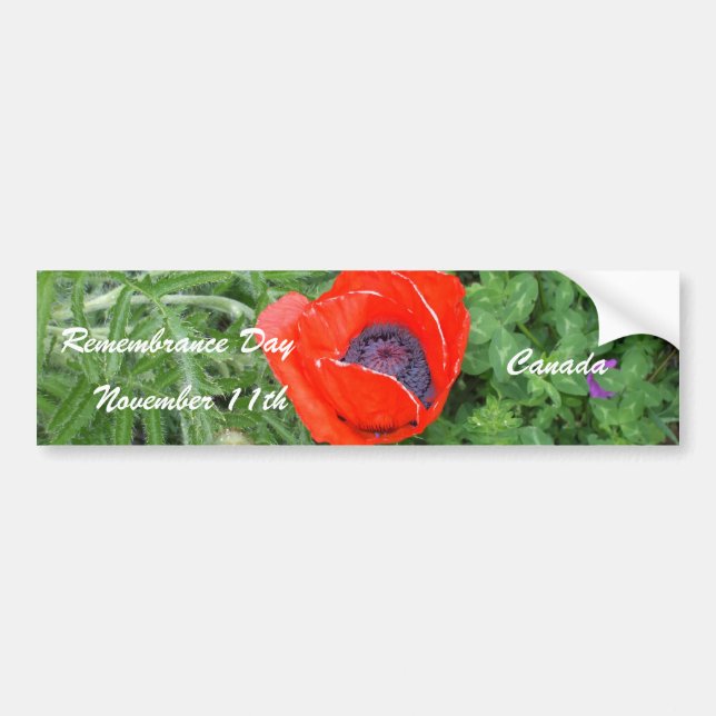 Canadian Remembrance Day November+11th Poppy Bumper Sticker (Front)