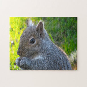 Canadian Squirrels Jigsaw Puzzle