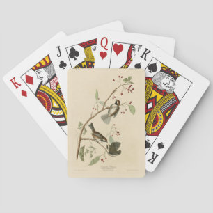 Canadian Titmouse from Audubon's Birds of America Playing Cards