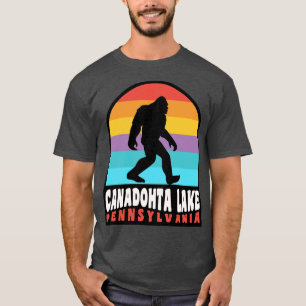 Canadohta Lake Pennsylvania Retro Sunset T-Shirt