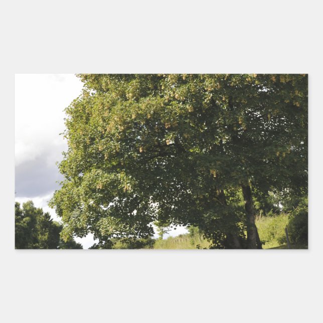 Canal Boats Sticker (Front)