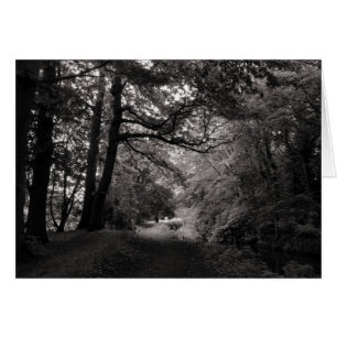 Canal, Bute Park, Cardiff, Pays de Galles