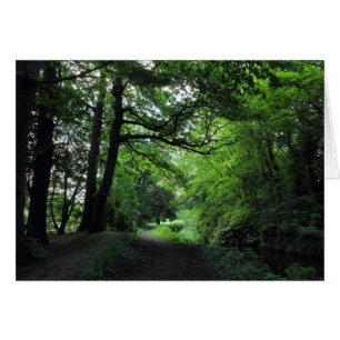Canal, Bute Park, Cardiff, Pays de Galles