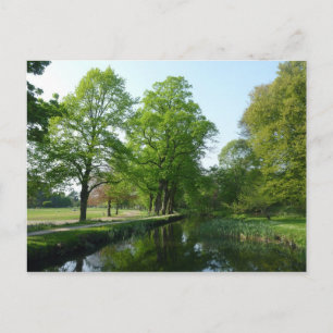 Canal - Bute Park, Cardiff Postcard