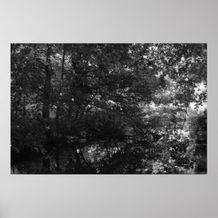 Canal, Bute Park, Cardiff Poster