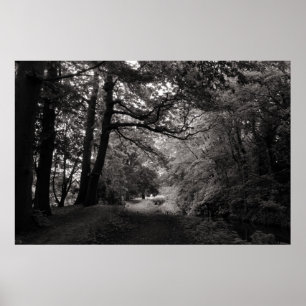 Canal, Bute Park, Cardiff, Wales Poster