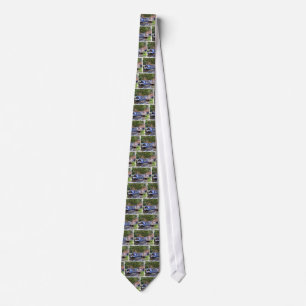 CANALS TIE