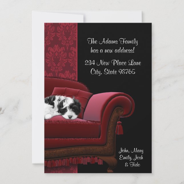 Canapé de marionnette Changement d'adresse Cartes  (Devant)