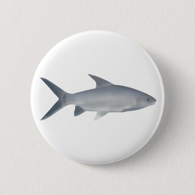 Canara Barb 2 Inch Round Button (Front)