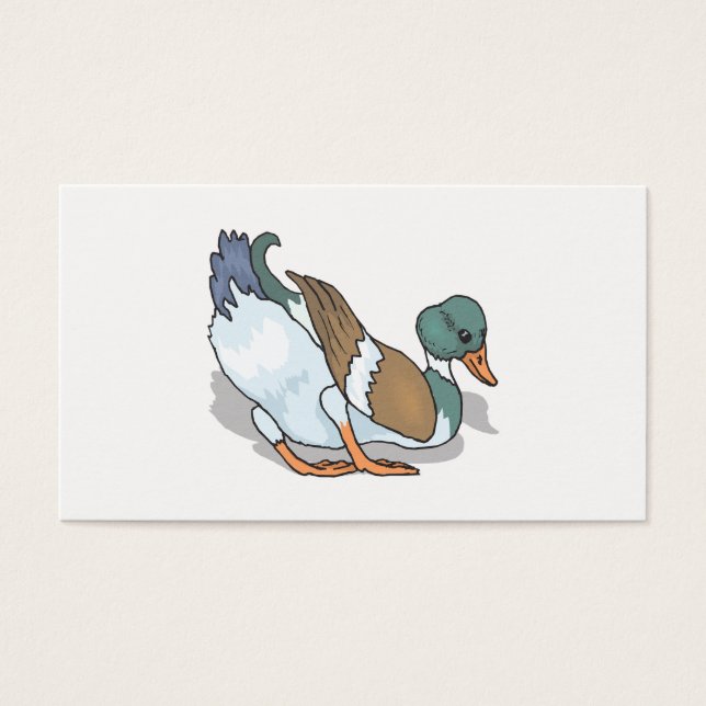 Canard (Devant)