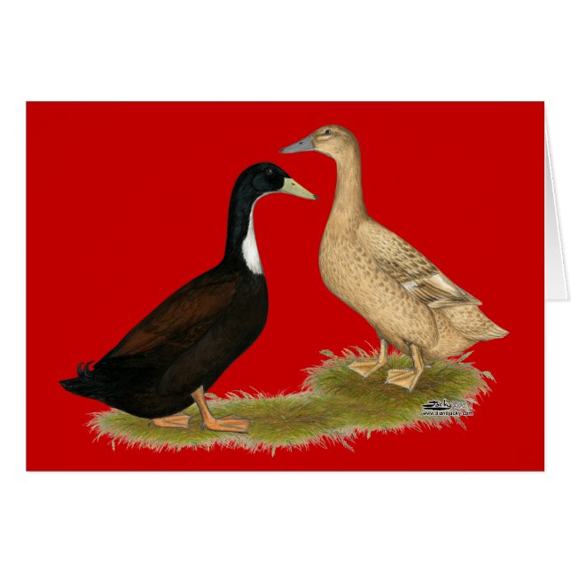 Canard à couchage hybride (Devant Horizontal)