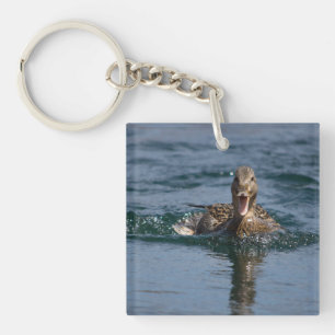 Canard avec bec ouvert