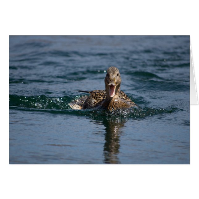 Canard avec bec ouvert (Devant Horizontal)