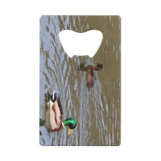 Canard colvert et canard touffu sur une rivière