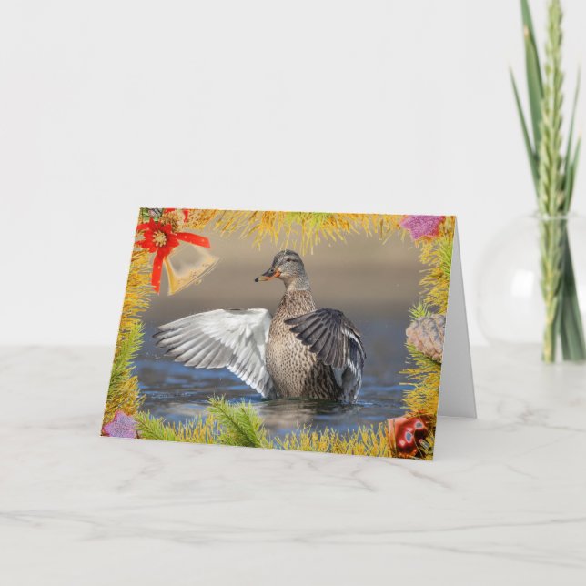 Canard colvert sur une carte de Noël (Devant)