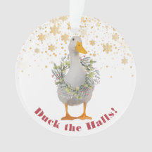 Canard dans les couloirs Noël Canard