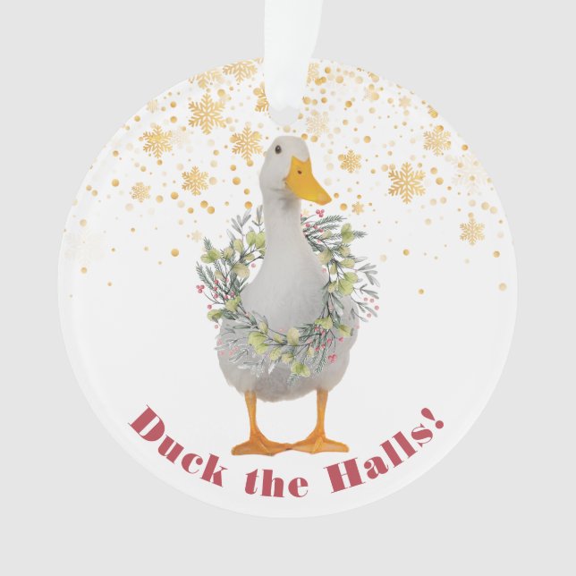 Canard dans les couloirs Noël Canard (devant)
