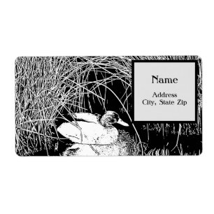 Canard de Mallard parmi les roseaux Nature noire e