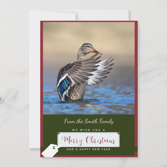 Canard de Mallard sur une carte de Noël (Devant)