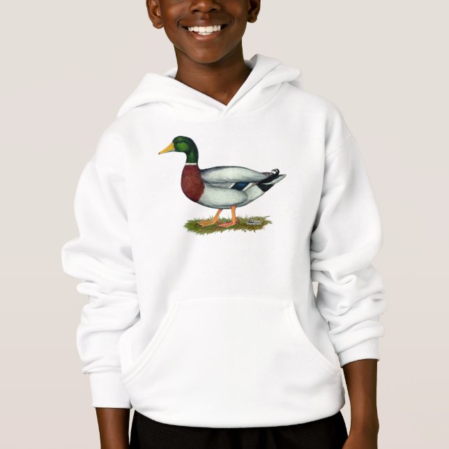 Canard Drake de Mallard (Devant)
