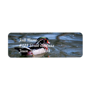 Canard en bois de natation