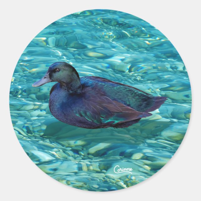 Canard en ébène - Stickers Enveloppe (Devant)