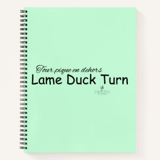 Canard Lame Tournez la menthe Vert et noir Carnet