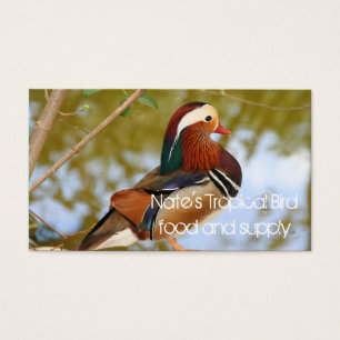 Canard mandarin