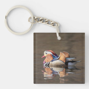 Canard mandarin