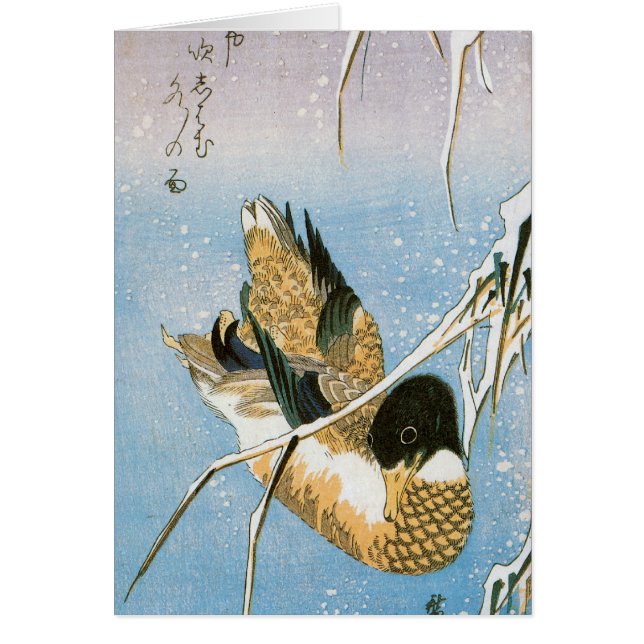 Canard sauvage Nage neige Laden Reeds par Hiroshig (Devant)