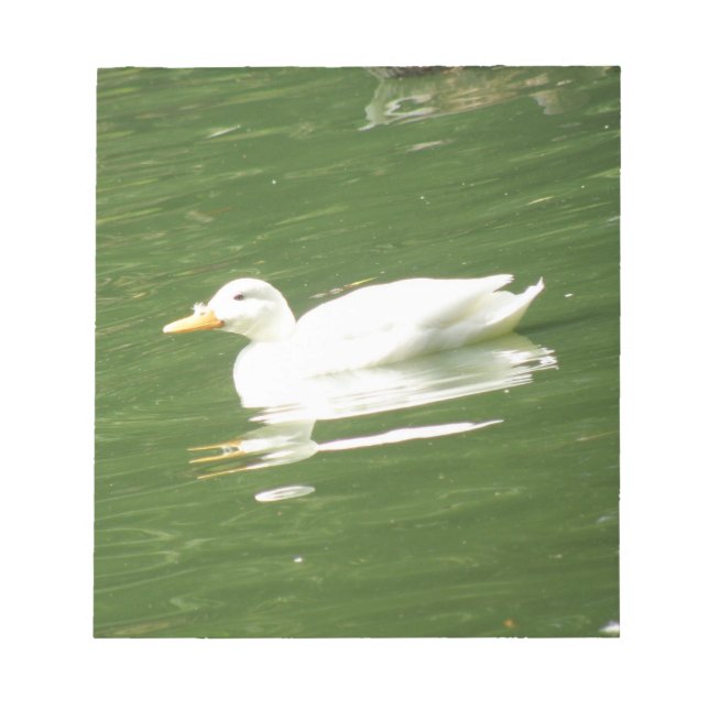 Canard sur le Bloc-notes de l'eau (Devant)