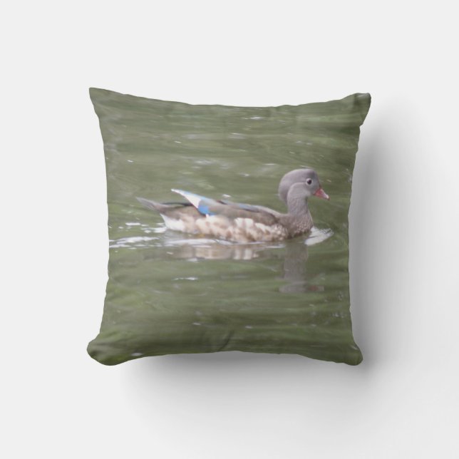 Canard sur le Coussin du lac (Recto)
