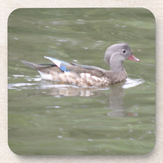 Canard sur le Dessous de verre du lac Cork (Devant)