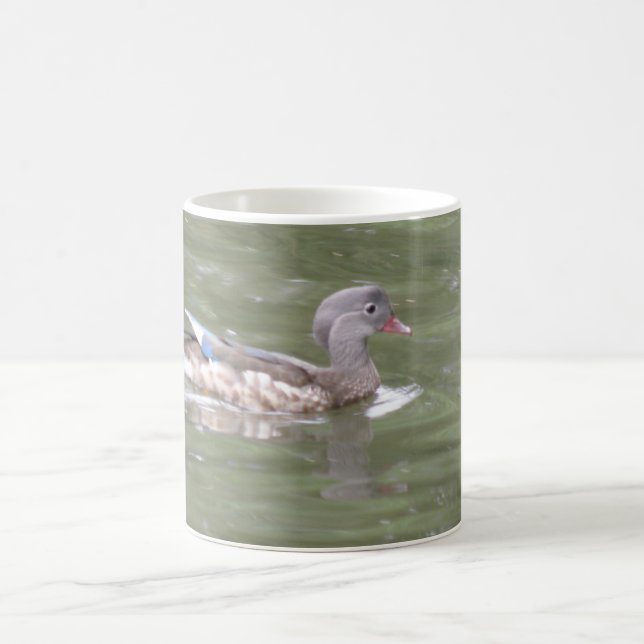 Canard sur le lac Mug (Centre)