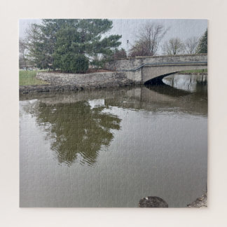 Canard Sur L'Eau Puzzle Puzzle