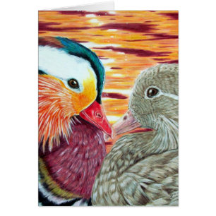 Canards dans l'amour