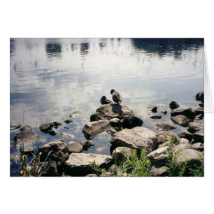 canards dans une rivière