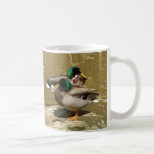 Canards de Mallard, tasse d'I LoveDaddy