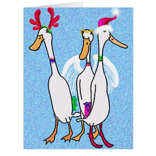 Canards de Noël (Devant)