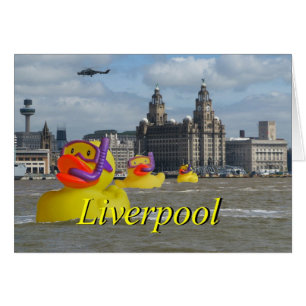 Canards En Caoutchouc Sur Le Mersey