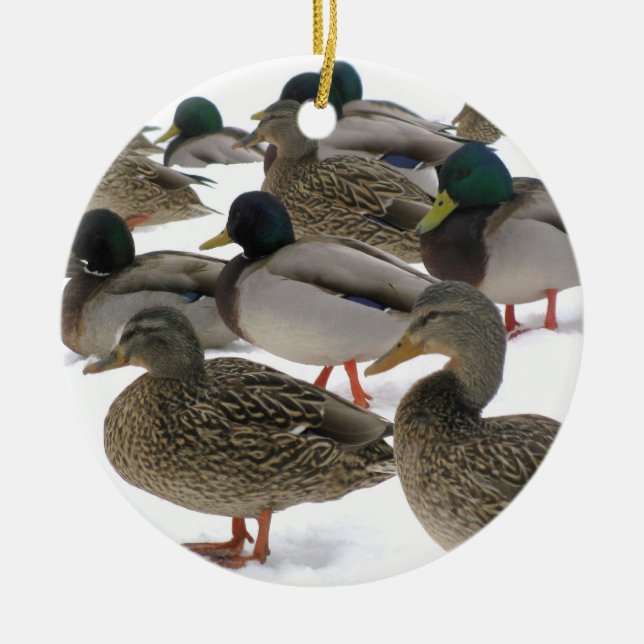 Canards en ornement de neige (Devant)