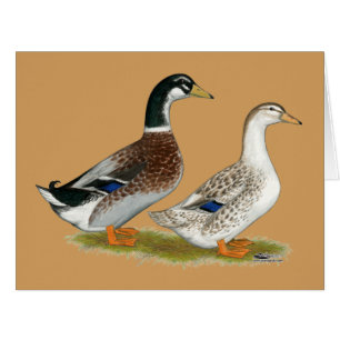 Canards : Joyeuse Argent