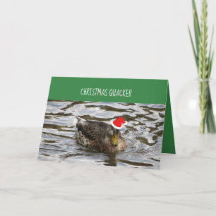 Canards Quacker Noël Dans Une Carte De Rangée