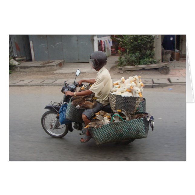 Canards sur le motocyclette-Vietnam (Devant horizontal)